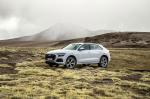 Audi Q8 55 TFSI Quattro 2018 года (WW)